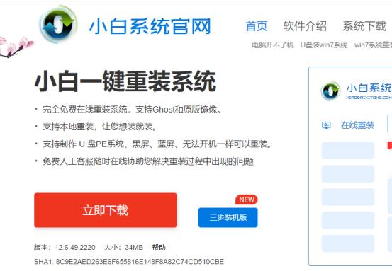 小白—键重装系统安全吗_郴州运维电脑维修网