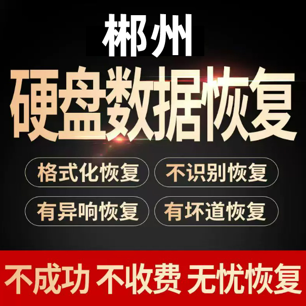 USB移动硬盘数据恢复,郴州电脑误删文件,机械移动硬盘数据恢复,U盘相机内存sd卡修复,编号：SP00459