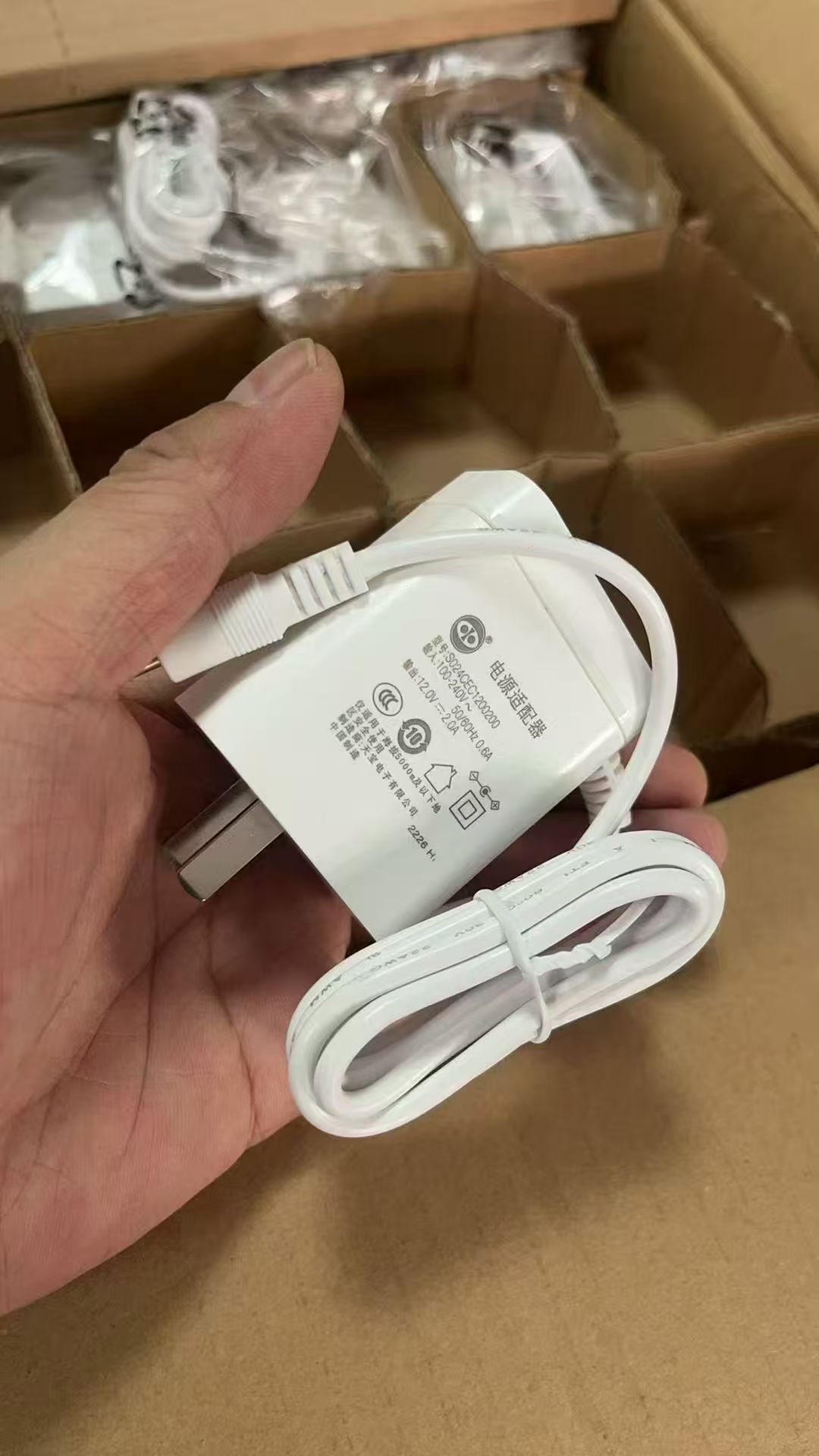 白色天宝12V2A | 编号：SP01741