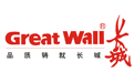 长城greatwall显示器维修